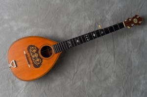 Pollman mandoline-banjo